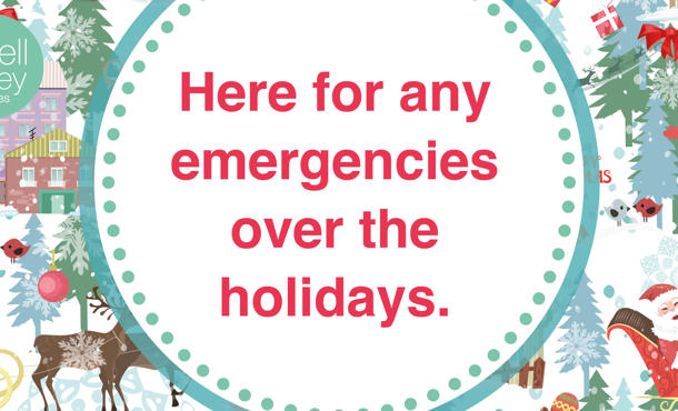 Ivh Christmas Email Banner23b