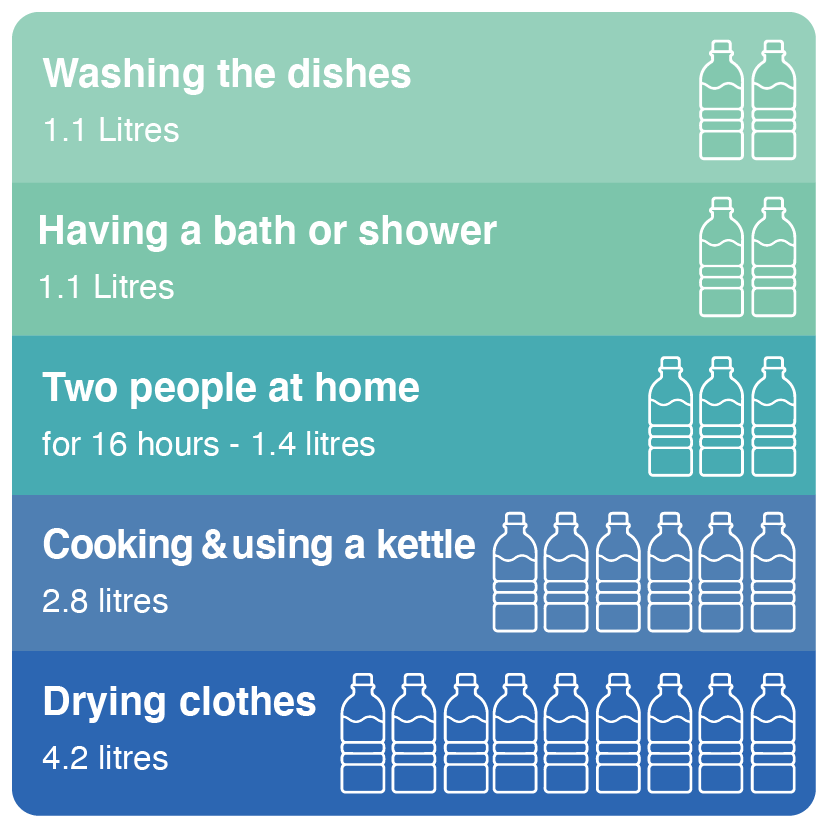 Damp Mould Graphic