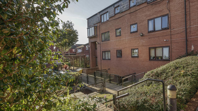 Hoyles Court with bushes and a fence around the garden on a sunny day