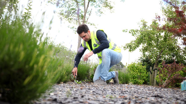 Irwell Valley Employee kneeling on pebbles whilst he is gardening