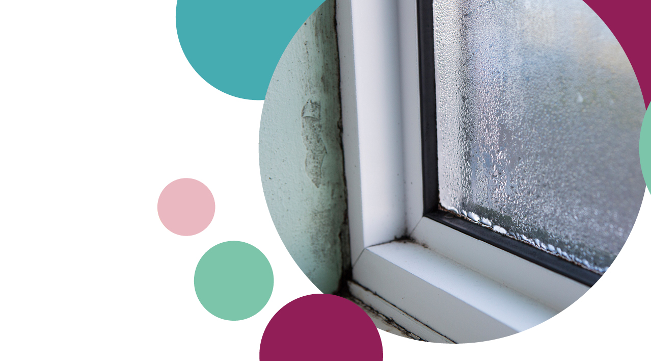 Window with condensation and dampness