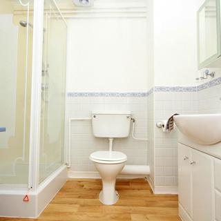 Bathroom with brown flooring and white interior