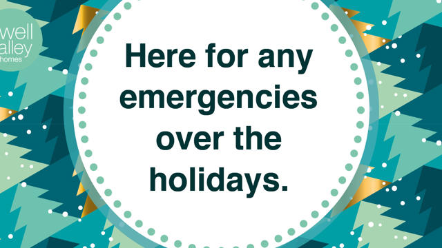 Ivh Christmas Email Banner242
