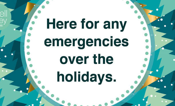 Ivh Christmas Email Banner242