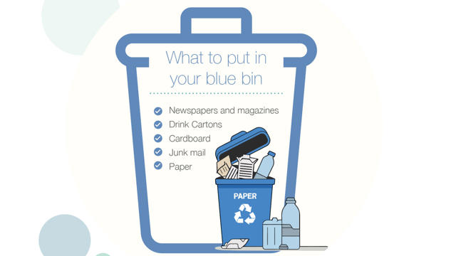 IVH Listing Vector Bins3