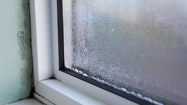 Damp and condensation on the window