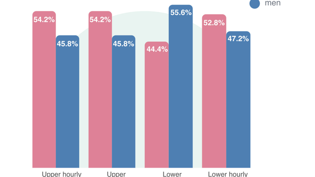 Pink and Blue bar graph showing the quarterly pay rates