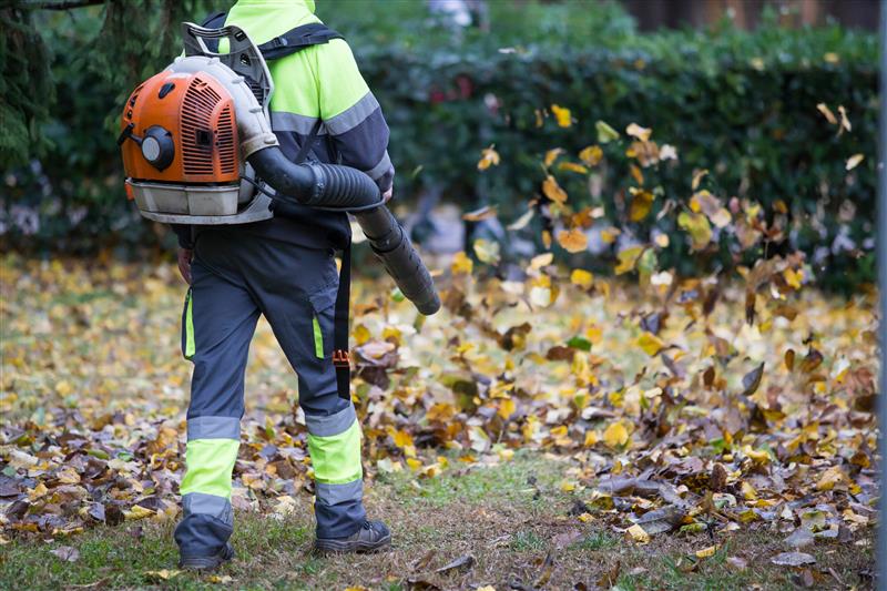 Adobestock 310219701 1 (1)