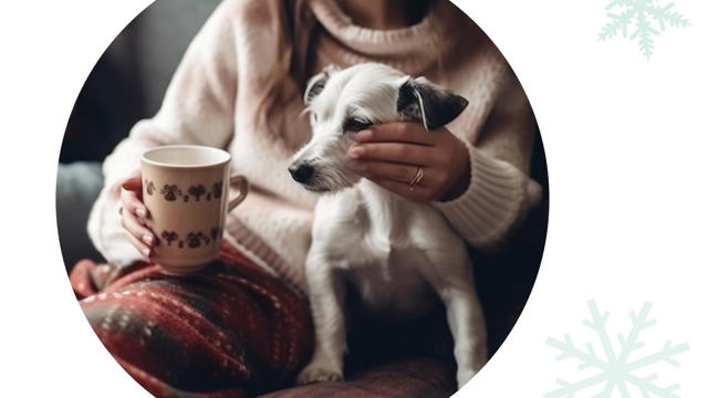 Staywellthiswinter Graphic3